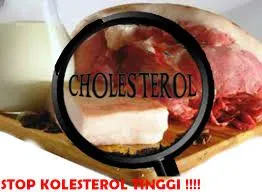 Kolesterol Jahat