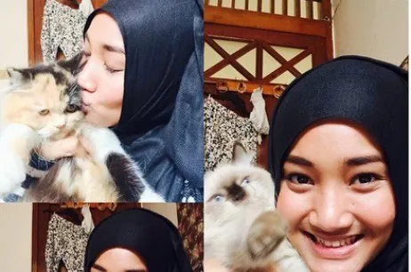 foto kucingnya fatin