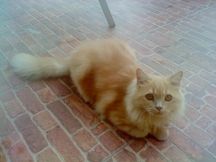 catatansanti.wordpress.com