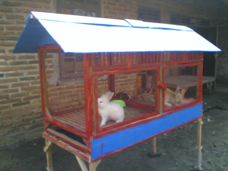 KANDANG KELINCI UNTUK BELAKANG RUMAH