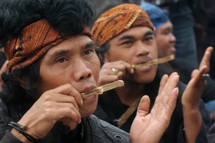 pandoe.rumahseni2.net