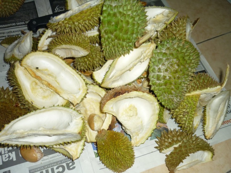 www.jurnalasia.com