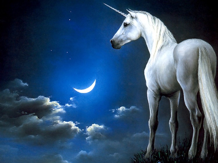 unicornsepedarongsok.wordpress.com