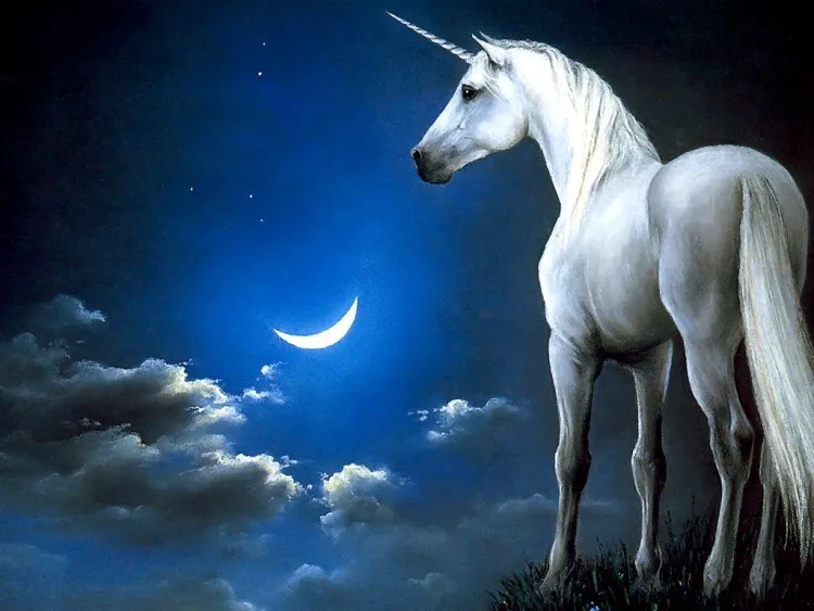 unicornsepedarongsok.wordpress.com