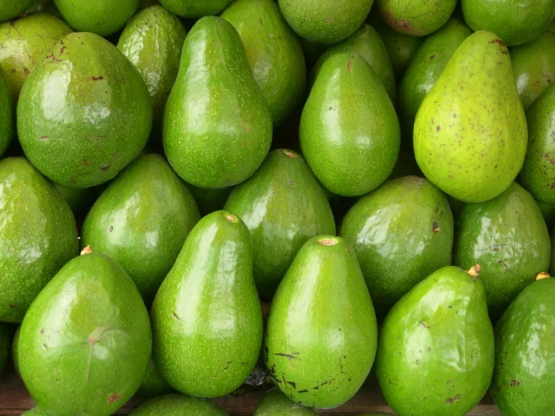 manfaatbagus.com