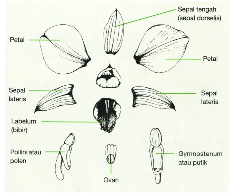 euisnovitasari.blogspot.com