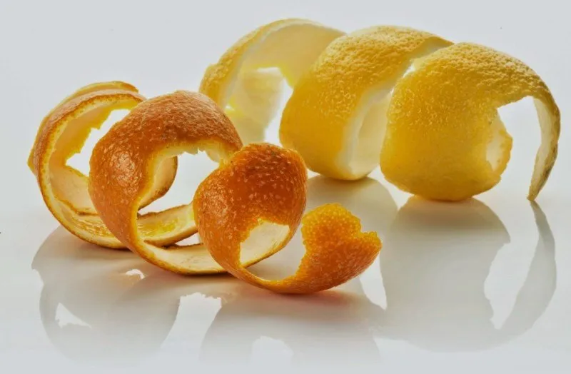www.1000macammanfaat.com