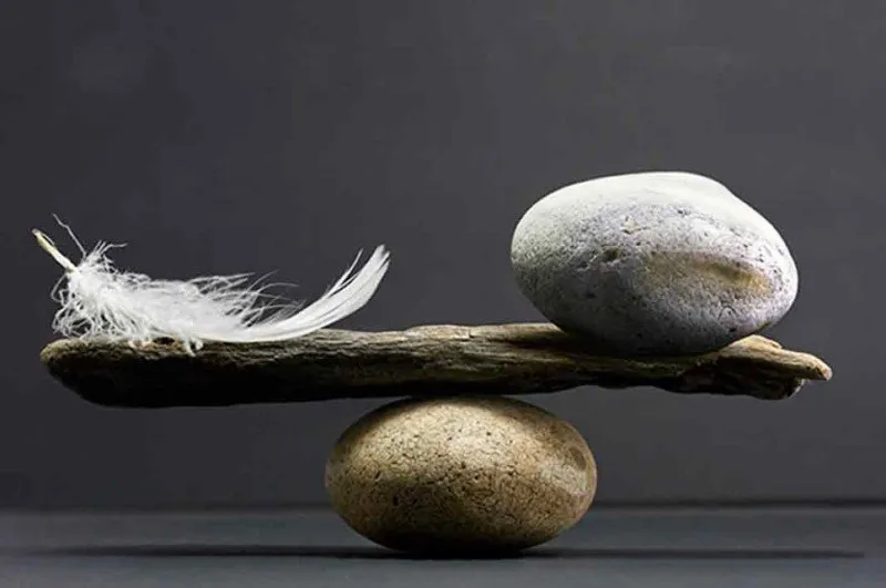 gelut.com