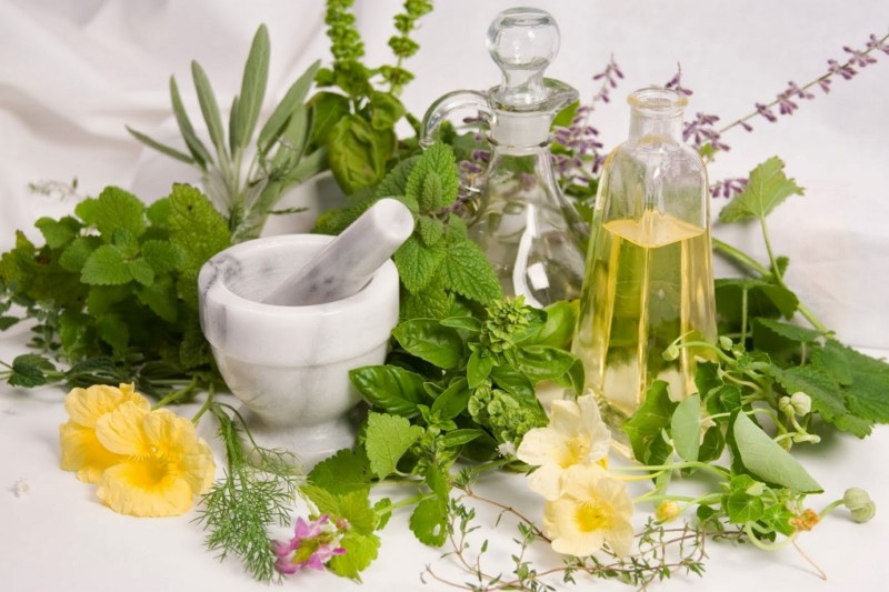 www.naturalhut.net