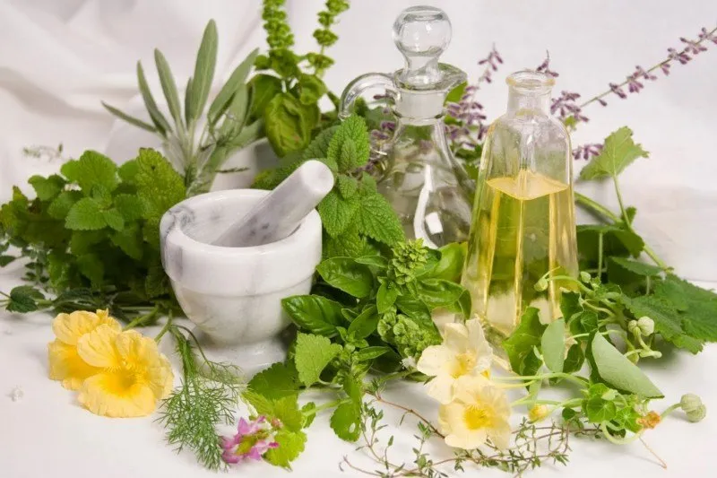 www.naturalhut.net