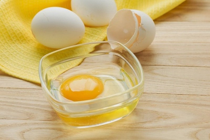 putih telur tegangkan payudara