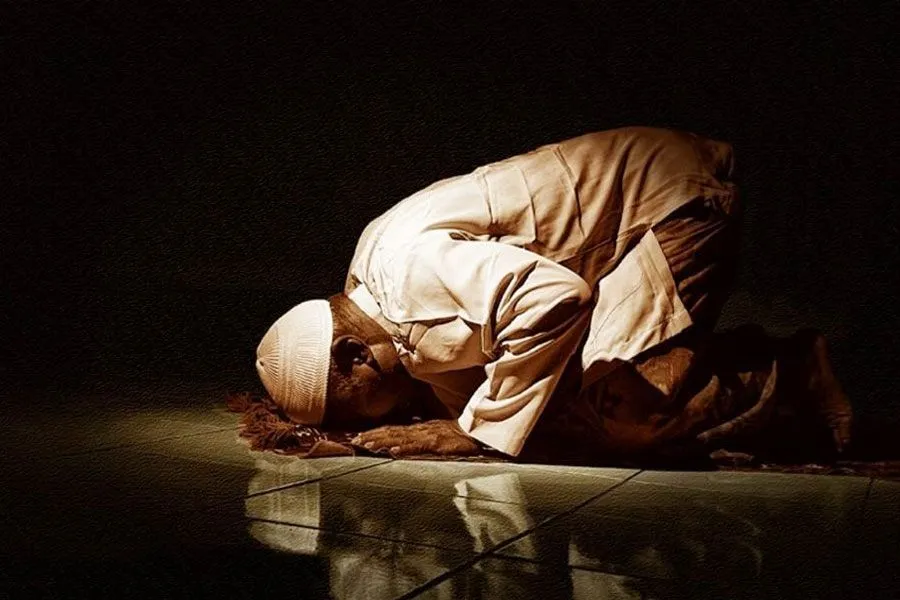 www.ummi-online.com